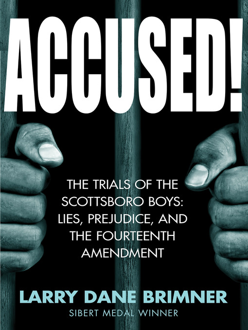 Title details for Accused! by Larry Dane Brimner - Available